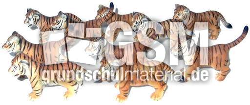 Tiger-10.jpg